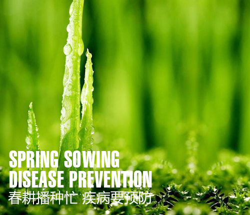 春耕播种忙，疾病要预防